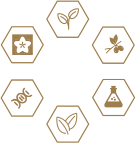 首页- 腾博官网诚信为本,专业服务!